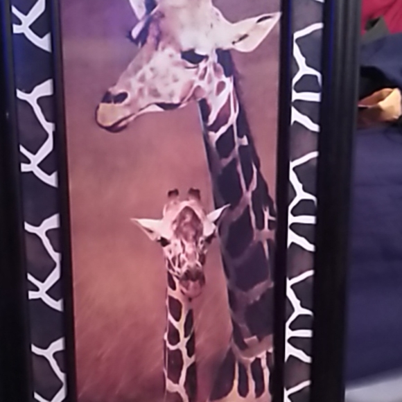 Watch bands - Picture 3 of 3